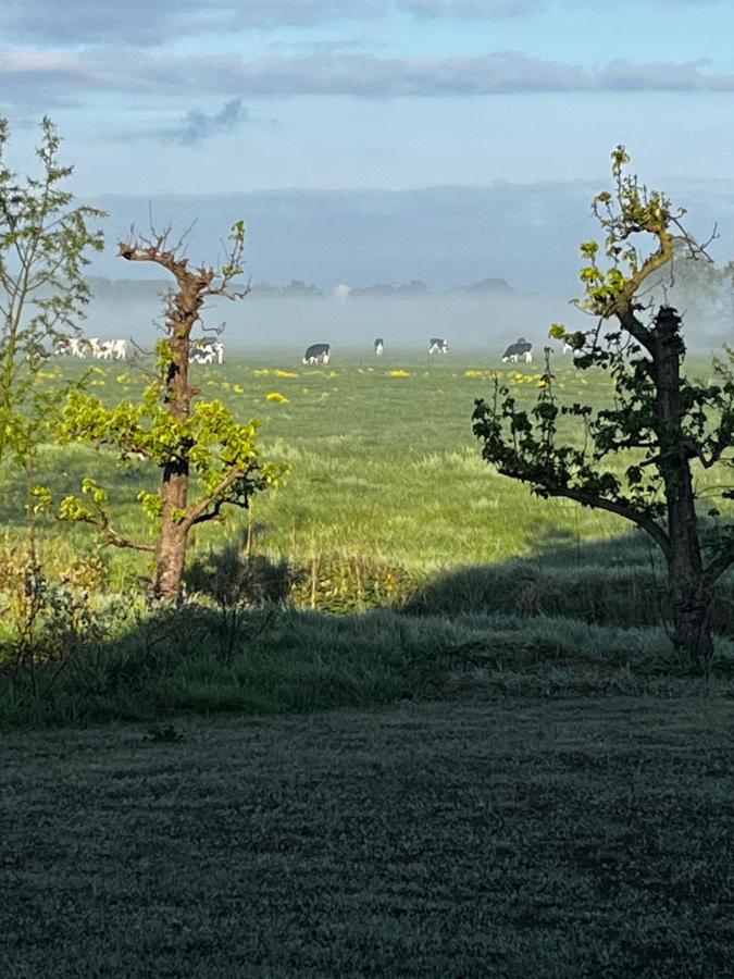 Vinkelaar 11 Βίλα Terschuur Εξωτερικό φωτογραφία